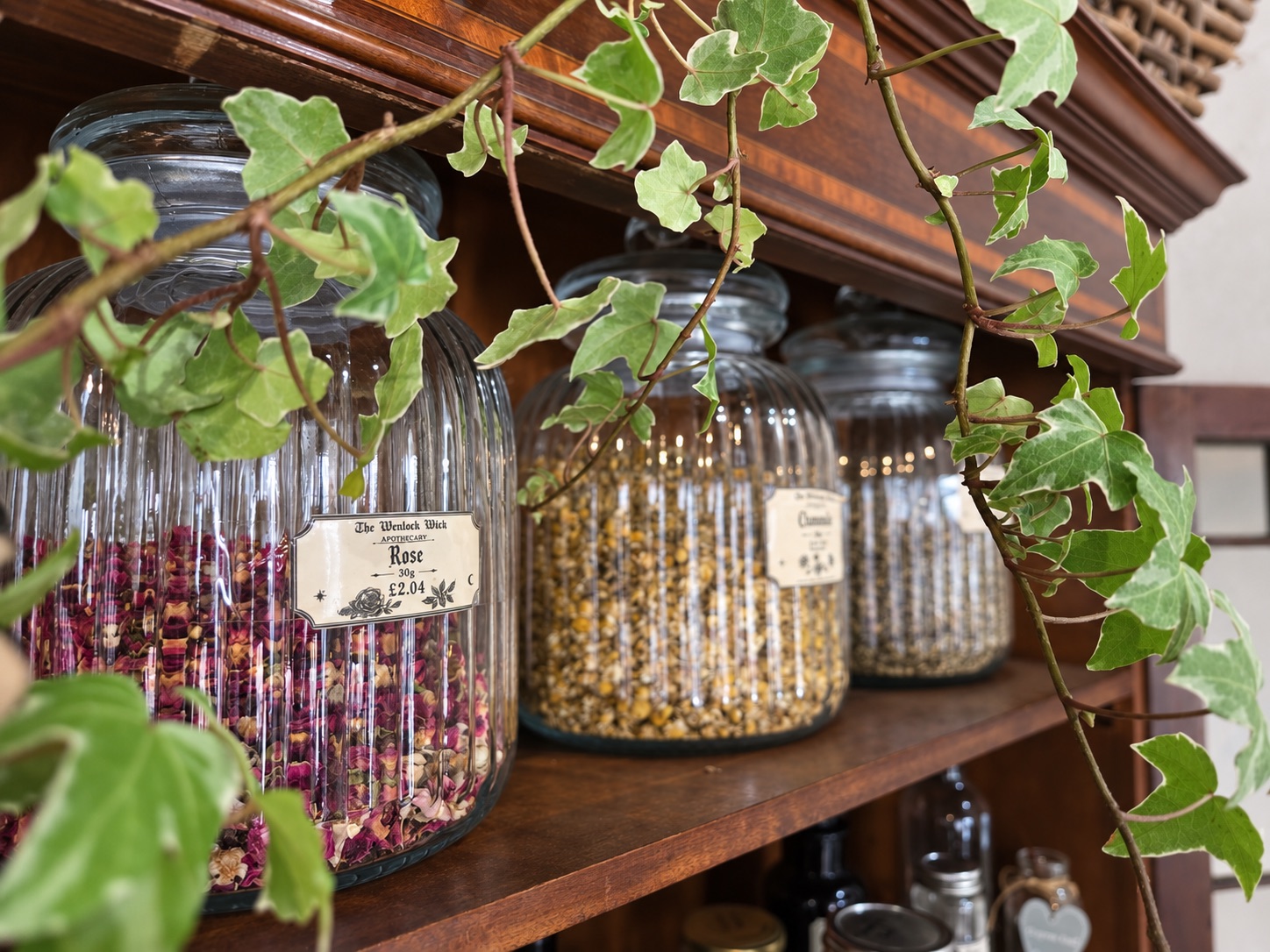 Traditional apothecary jars filled with botanicals